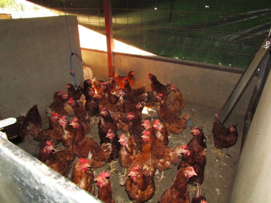 Commercial Property for Sale in Koppies Rural Free State